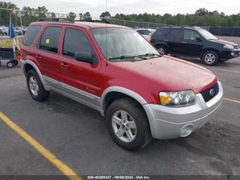  Salvage Ford Escape