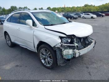  Salvage Lexus RX