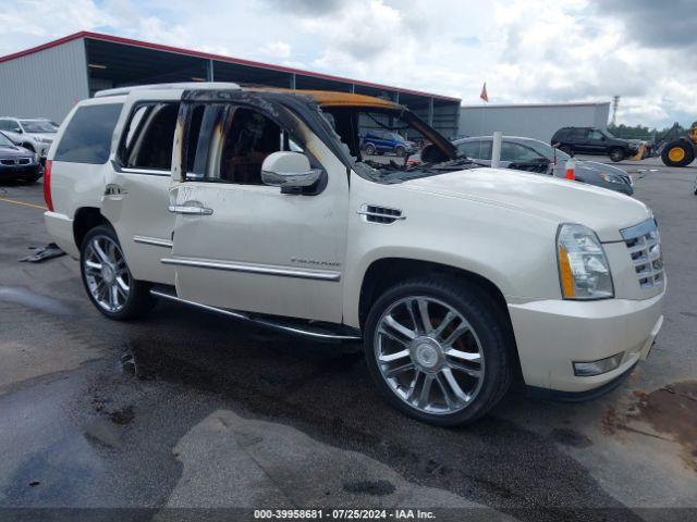  Salvage Cadillac Escalade