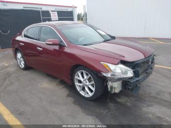  Salvage Nissan Maxima