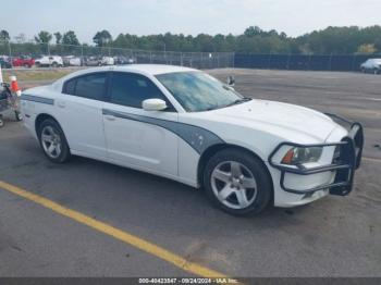  Salvage Dodge Charger