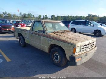  Salvage Chevrolet S Truck