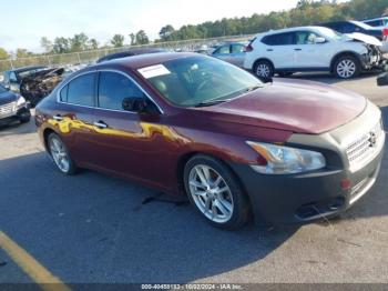  Salvage Nissan Maxima