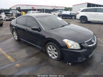  Salvage Nissan Maxima