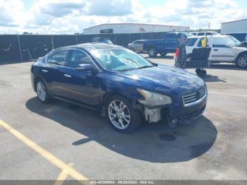  Salvage Nissan Maxima