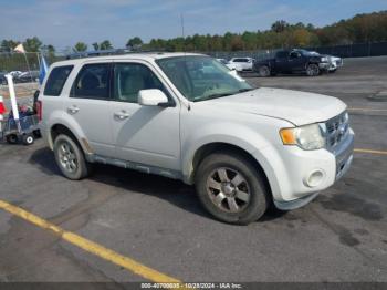  Salvage Ford Escape