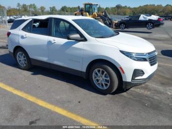  Salvage Chevrolet Equinox