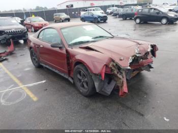  Salvage Ford Mustang