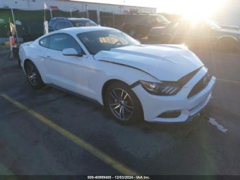  Salvage Ford Mustang