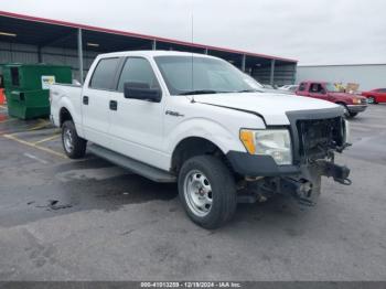  Salvage Ford F-150