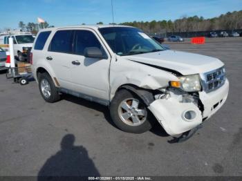  Salvage Ford Escape