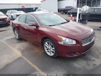  Salvage Nissan Maxima