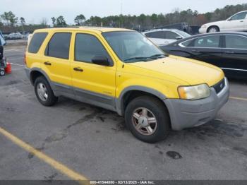  Salvage Ford Escape