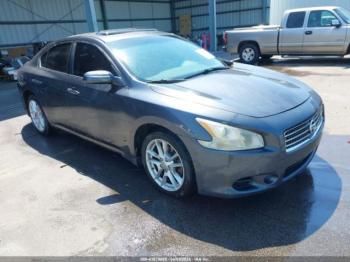  Salvage Nissan Maxima