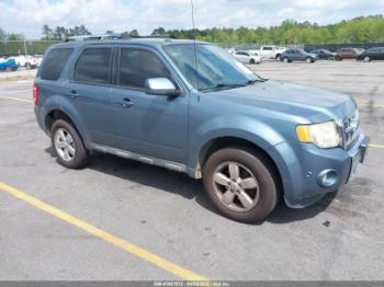  Salvage Ford Escape