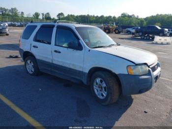  Salvage Ford Escape