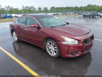  Salvage Nissan Maxima