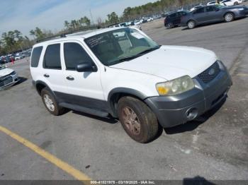  Salvage Ford Escape
