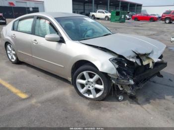  Salvage Nissan Maxima