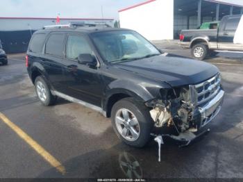  Salvage Ford Escape