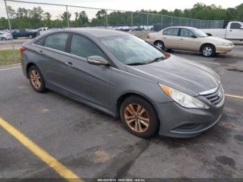  Salvage Hyundai SONATA
