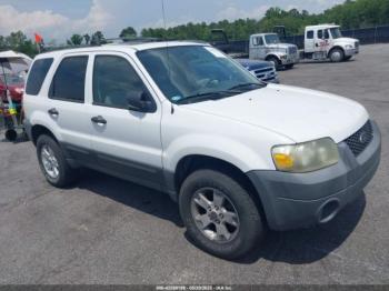  Salvage Ford Escape