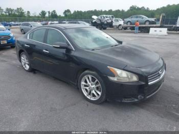  Salvage Nissan Maxima