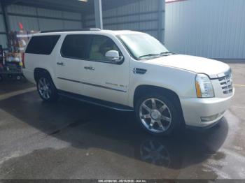  Salvage Cadillac Escalade