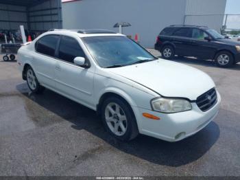  Salvage Nissan Maxima