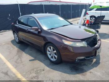  Salvage Acura TL