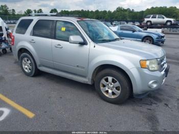  Salvage Ford Escape
