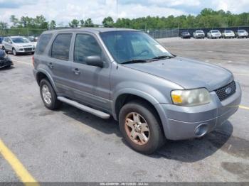  Salvage Ford Escape