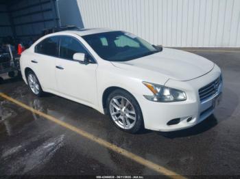  Salvage Nissan Maxima