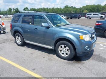  Salvage Ford Escape