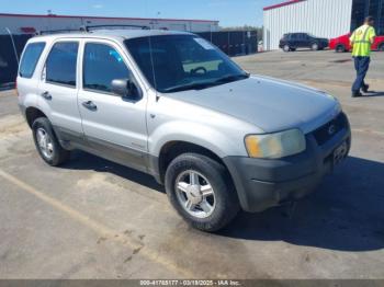  Salvage Ford Escape