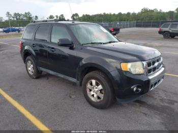  Salvage Ford Escape