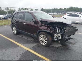  Salvage Kia Sorento