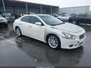  Salvage Nissan Maxima