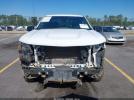 Chevrolet Silverado 1500 2wd  Standard Bed Wt Image 2