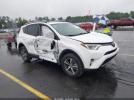 Toyota RAV4 Xle Image 1
