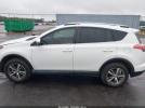 Toyota RAV4 Xle Image 7