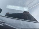 Lincoln Continental Select Image 9