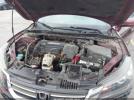Honda Accord Ex-l Image 10