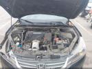 Honda Accord Ex-l Image 11
