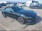 Ford Mustang Ecoboost Premium Image 1