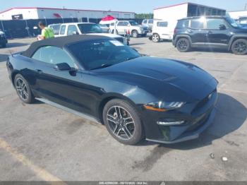  Salvage Ford Mustang