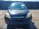 Honda CR-V Ex Image 5