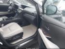 Lexus RX Image 2