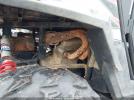 Polaris Ranger Image 7