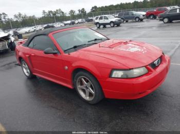  Salvage Ford Mustang